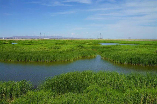 督察多次反响污泥处置惩罚不当问题，地方怎么破解？