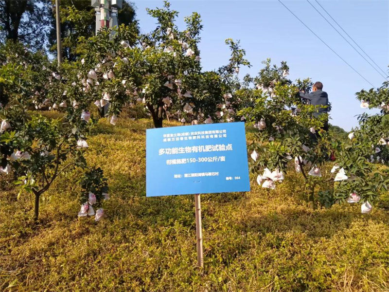 高科技效果包管高质量生长